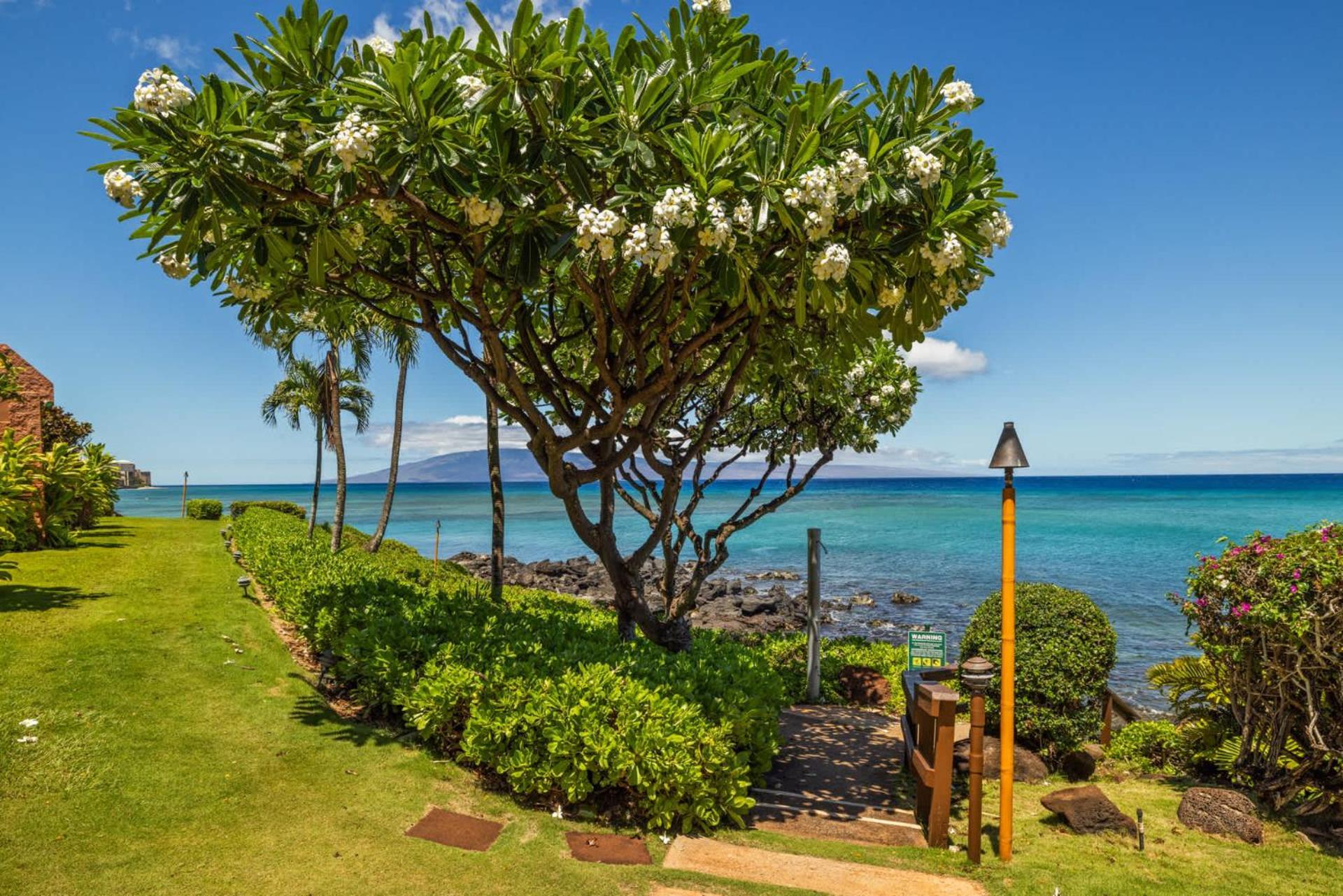 Kuleana Club #510 - Ocean View -1 Bedroom & 1 Bathroom - 2Nd Floor Kahana Exterior photo